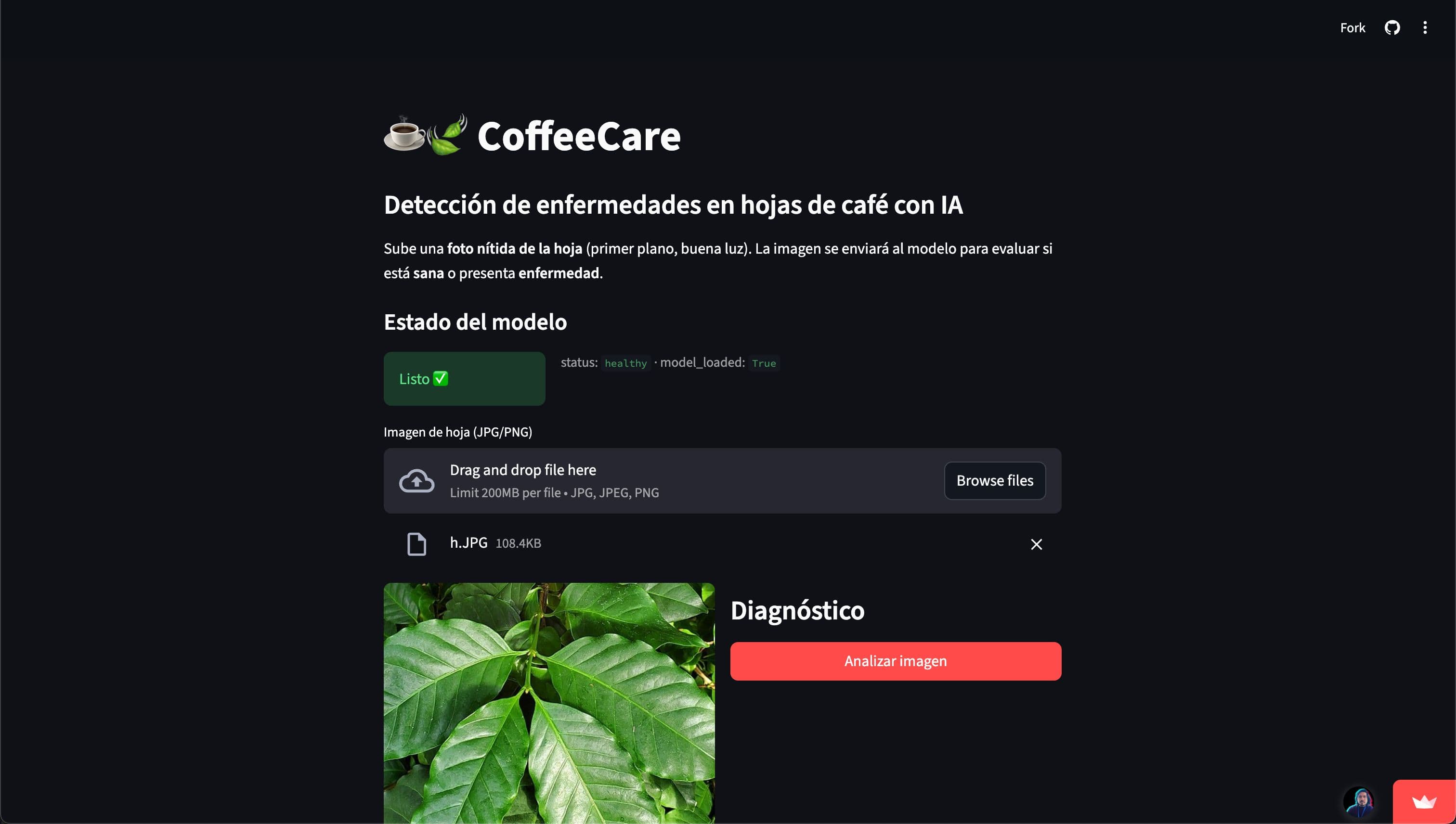 Coffee Disease Detection